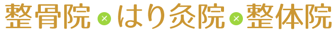 整体院+接骨院+はり灸院