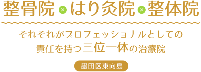 鈴の樹整骨院